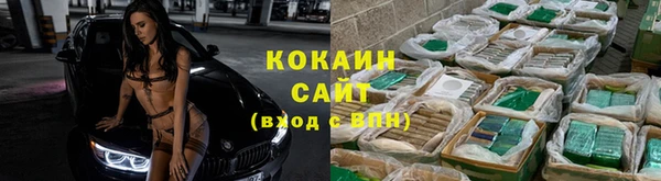 гидропоника Горняк