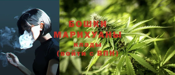 крисы Дедовск