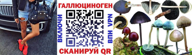 Псилоцибиновые грибы ЛСД  KRAKEN вход  Елизово 