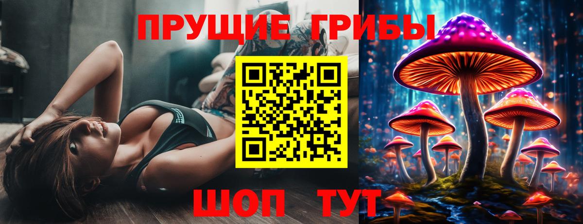 Елизово  Галлюциногенные грибы прущие грибы  Вход с VPN  Псилоцибиновые грибы Psilocybine cubensis 