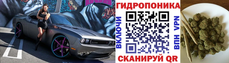 что такое наркотик  Елизово  Конопля SATIVA & INDICA 